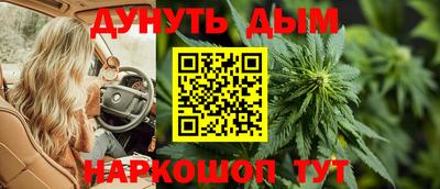 спиды Боровичи
