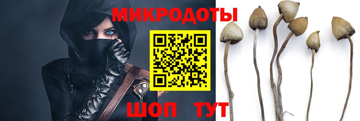 Псилоцибиновые грибы Psilocybine cubensis Выкса
